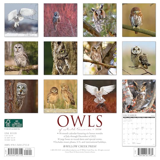 2023 Owls Wall Calendar Michaels